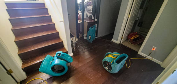  Marlow, OK Water damage restoration Pros