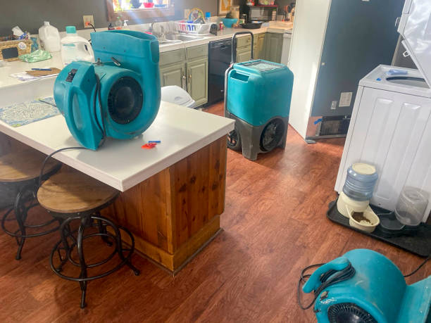 Best Mold removal after water damage  in Marlow, OK