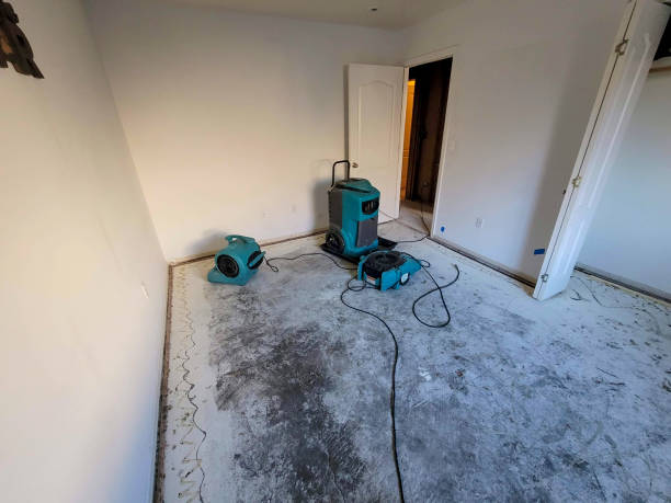Best Water damage restoration near me  in Marlow, OK