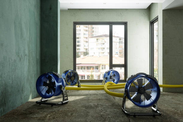 Best Residential water damage restoration  in Marlow, OK