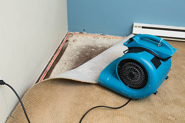 Best Basement water damage restoration  in Marlow, OK